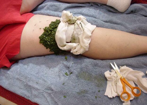 Apply a warm compress with crushed cabbage leaves to the painful knee joint caused by arthritis