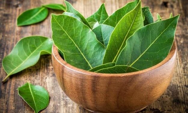 Bay leaves to prepare decoction to reduce swelling of knee joints caused by arthritis